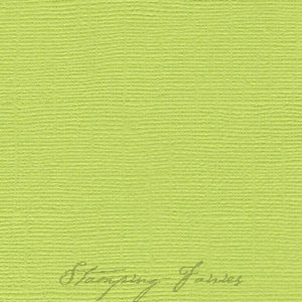 Bazzill Leinenstruktur CS "Parakeet"